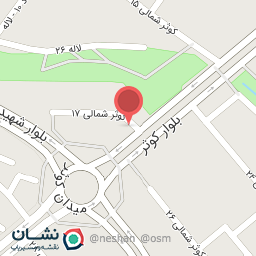 عکس پی پینگ مشهد