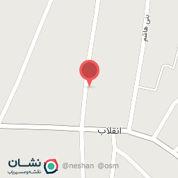 عکس پیتزا ولیعصر