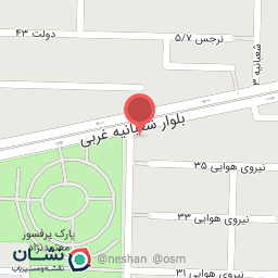 عکس پیتزا ساندویچ میلانو