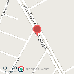 عکس برق خودرو امین زارعی