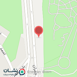 عکس شرکت شب نما