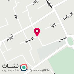 عکس موسسه فیزیوتراپی صدرا