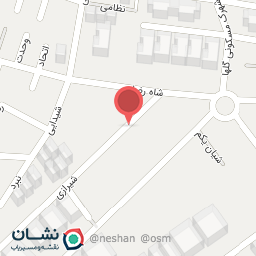 عکس تهیه غذا برادران محمدی