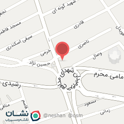 عکس پیتزا حقیقت