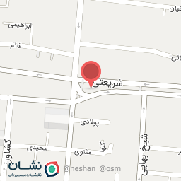 عکس  بین فردوسی و شریعتی