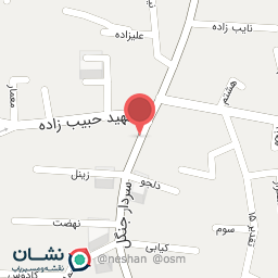 عکس تاکسی تلفنی آرش