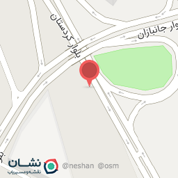 عکس قالیشویی شریعتی