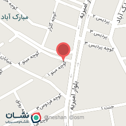 عکس آتلیه برگ 