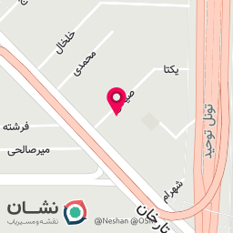 عکس پیتزا ایرانالد