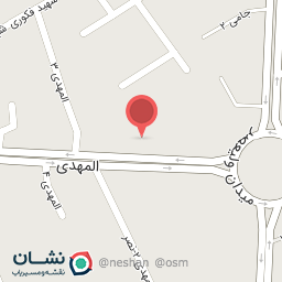 عکس کیف و کفش شاهینی