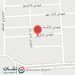 عکس جلوبندی سازی فرانس پژو