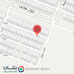 عکس پیتزا دوتا ببر