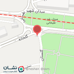 عکس دکتر پردیس محمودی