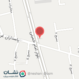 عکس پیتزا آرین توکلی