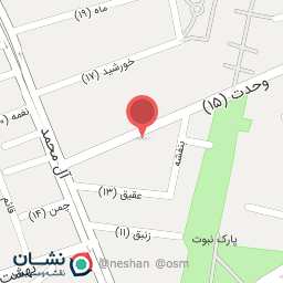 عکس قالیشویی آنا