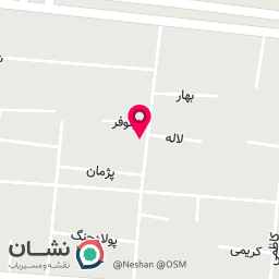 عکس کاسه کباب صفویه 
