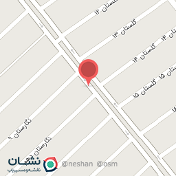 عکس اتوسرویس دوستان