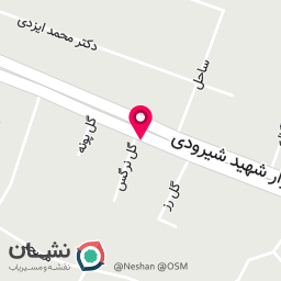 عکس گلفروشی شاخه