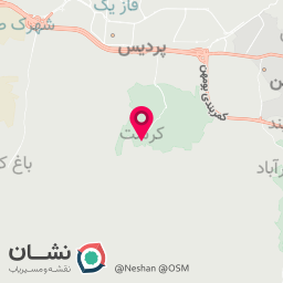 عکس قالیشویی اسپی