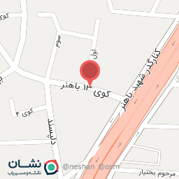 عکس تست انژکتور بهزاد