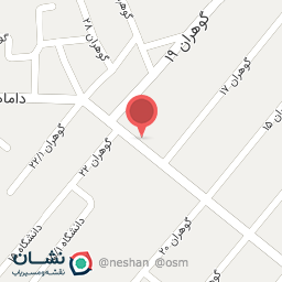 عکس پیتزا و فست فود امیرخان