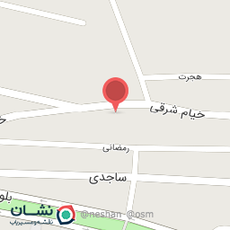 عکس کیف و کفش سامین