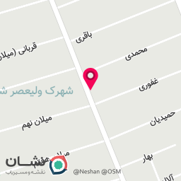 عکس کباب ذغالی ریحون