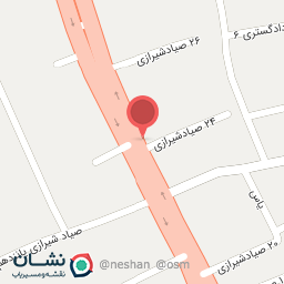 عکس فست فود چین دکا