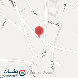 عکس میوه فروشی زنجانیا