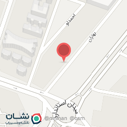 عکس سالاد بارهای سیب