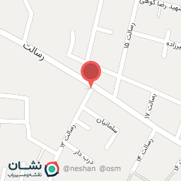 عکس کیف و کفش پارساکاشان