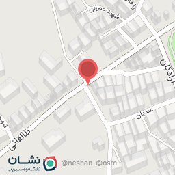 عکس سبزی خوردکنی امین