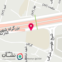 عکس شیخ طوسی
