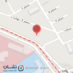 عکس دکتر مهری آرین-پوست