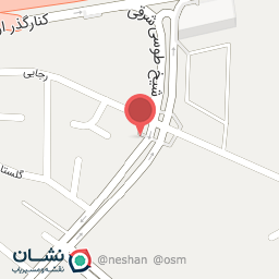 عکس کارواش دلفین