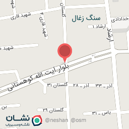 عکس نمایندگی ساوانا 