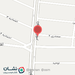 عکس پیتزا و ساندویچ شقایق