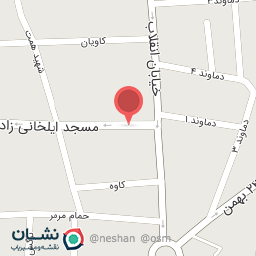 عکس ضمانت چی امیر چوروکه