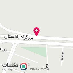 عکس آرا ایساتیس دشتی