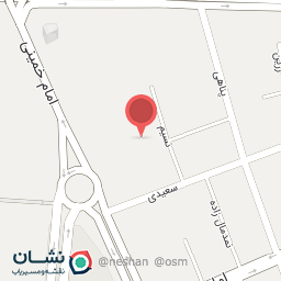 عکس کفش آریو