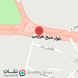 عکس کیک پیتزا پلاس