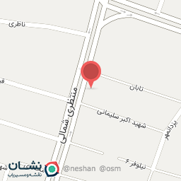 عکس پیتزا تنوری دوآتیشه تنورک