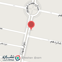 عکس کفش پروشا