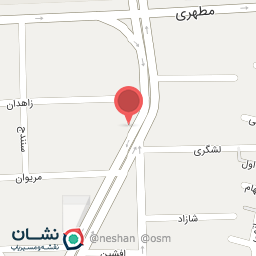 عکس جانیس برگر