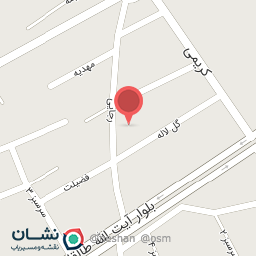 عکس خدمات کامپیوتری سعید نطنز