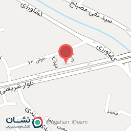 عکس فرش وحید