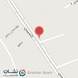 عکس الکتریکی افضلی