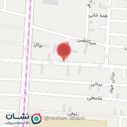 عکس تهیه غذای برگ سبز