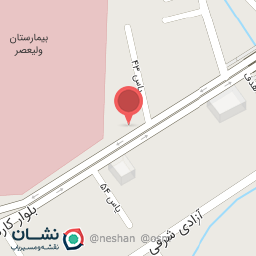 عکس عسل بانو