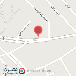 عکس پرنده فروشی